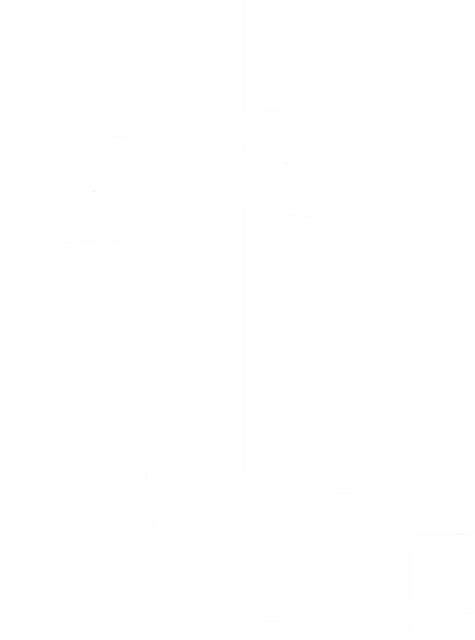 Tersus